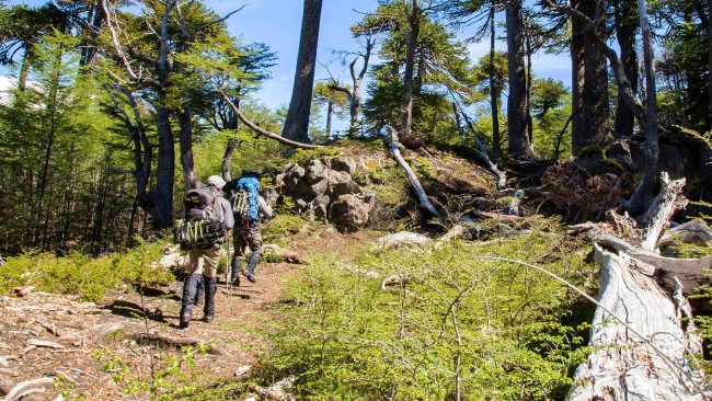 tourtrekking-pichillancahue